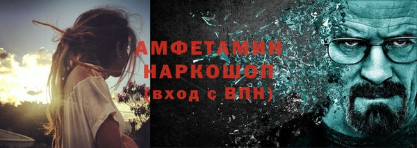 гашик Вяземский