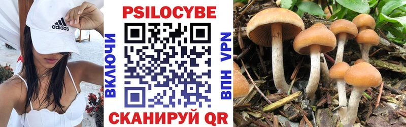Галлюциногенные грибы Psilocybine cubensis  ссылка на мегу   Данков 