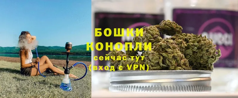 Шишки марихуана White Widow  Данков 